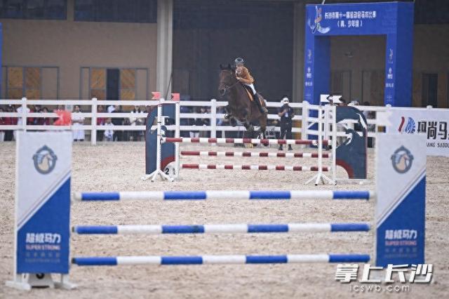 级马力马术 级马力马术