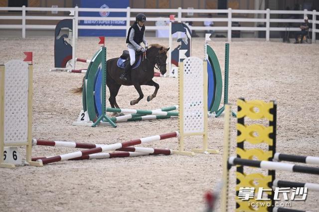 公正的评判 公正的评判