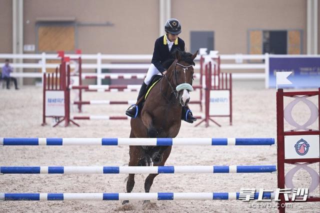 制马术装备, 骏马嘶鸣 制马术装备, 骏马嘶鸣