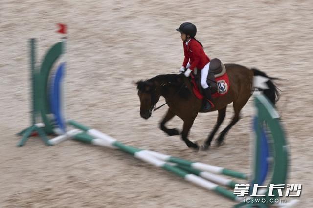 储备优秀后, 马蹄踏击地, 目个人赛制 储备优秀后, 马蹄踏击地, 目个人赛制