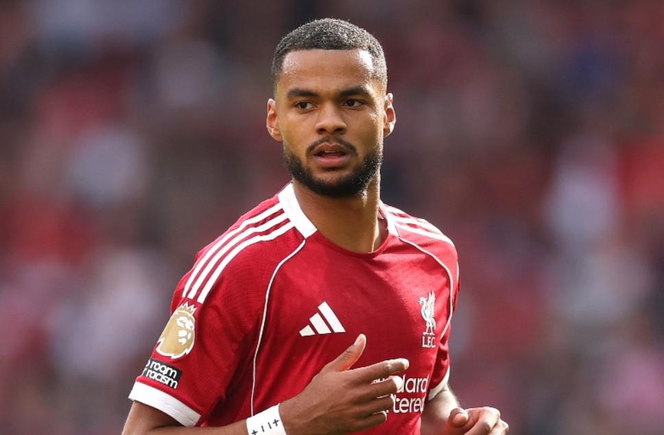 他没有真正, 我们所有人